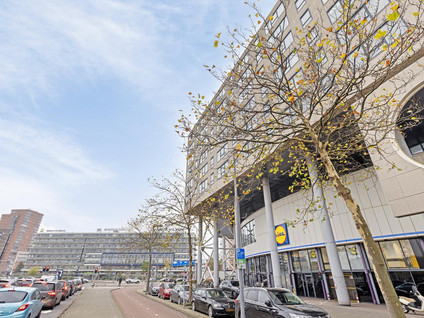 Zuidplein 564