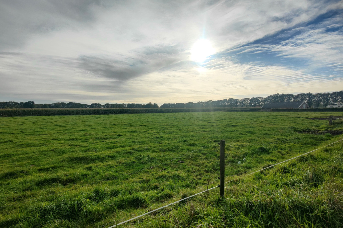 Brandligtswijk 1A