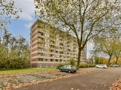 Fluitekruidweg 305