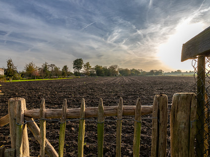 Campensedijk 66