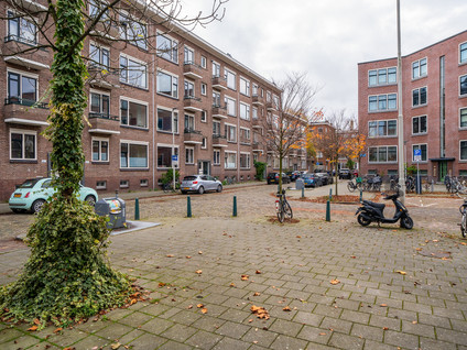 Troelstrastraat 20D