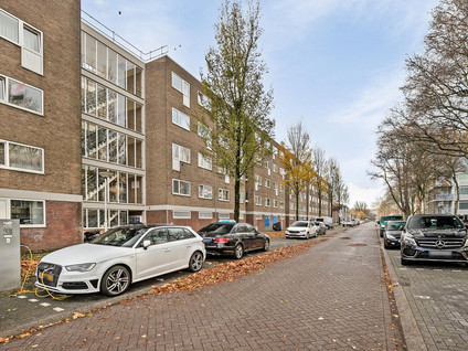 Linnaeusstraat 230