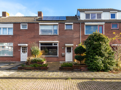 Swammerdamstraat 11