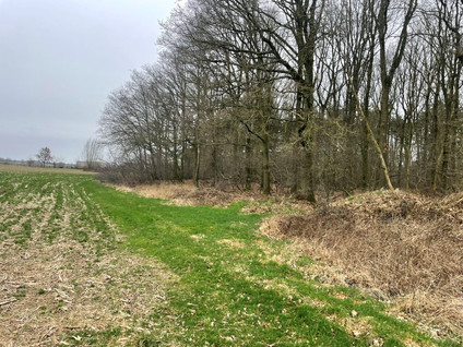 Hilkensbergweg 