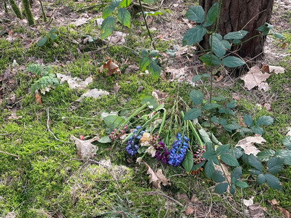 Grote Blerickse Bergenweg 