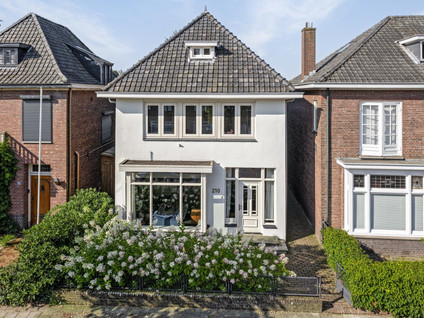 Brinkstraat 210