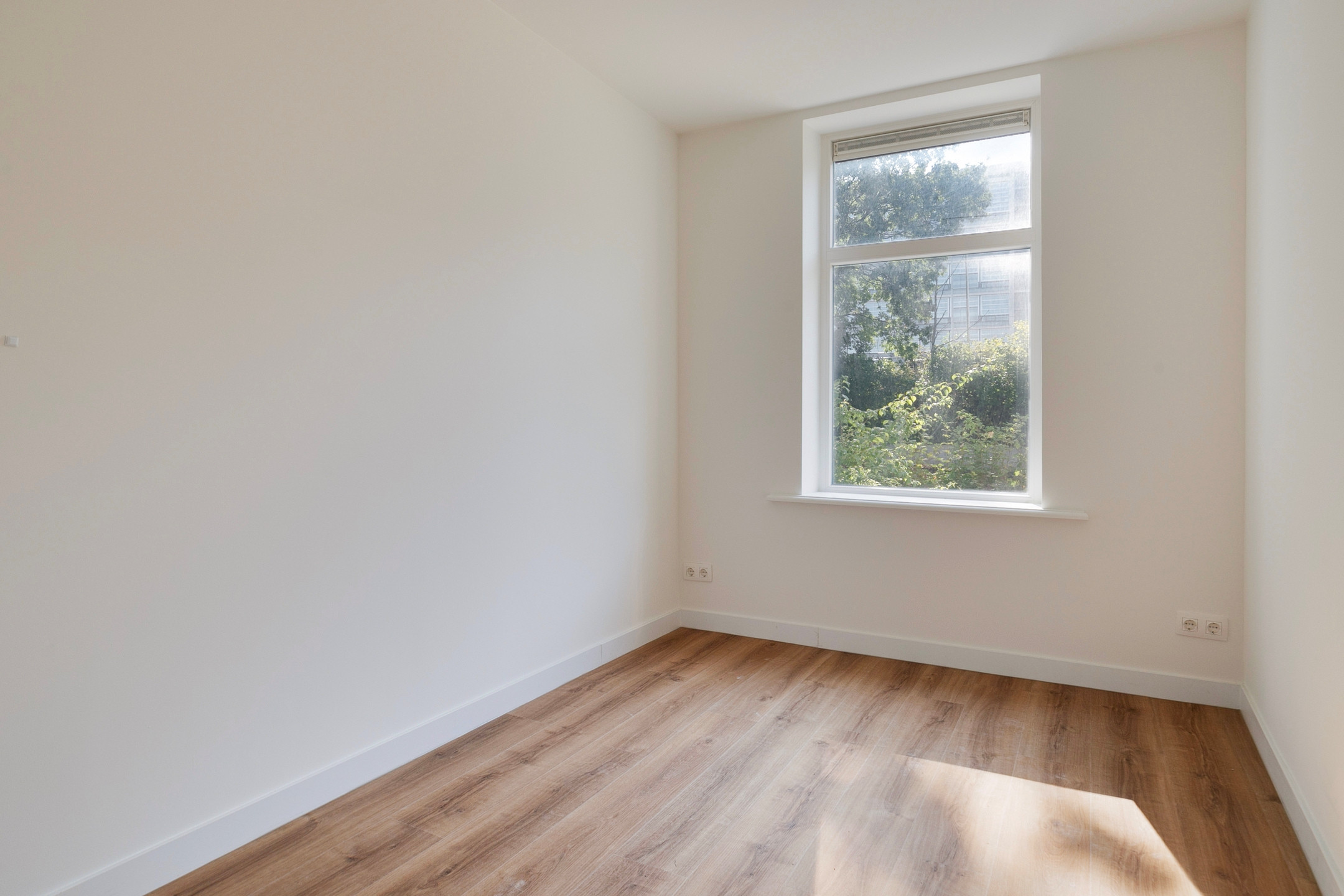 Woning te huur: Proveniersstraat 64B 3033CM Rotterdam