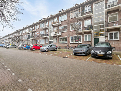 Tapuitstraat 98C