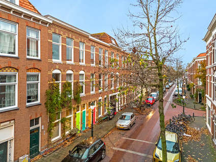 Newtonstraat 367