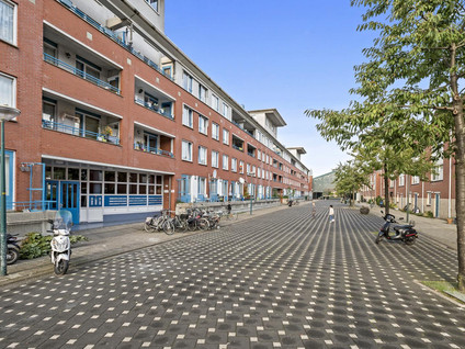 Thijssestraat 311