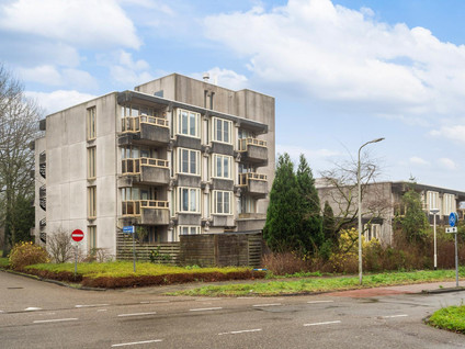 Kinderen van Versteegplein 40