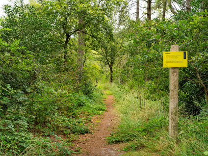 Nederheide 9aa