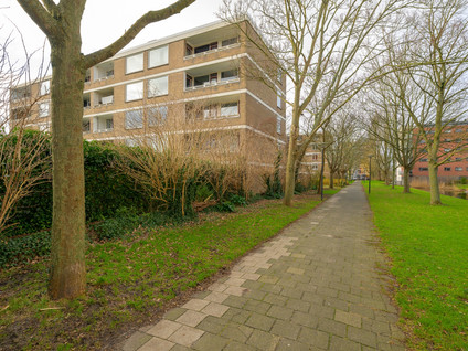 Mozartstraat 221