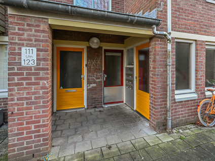 Vianenstraat 113