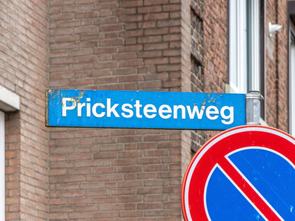 Pricksteenweg 21