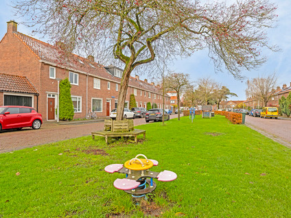 Goudsbloemstraat 119