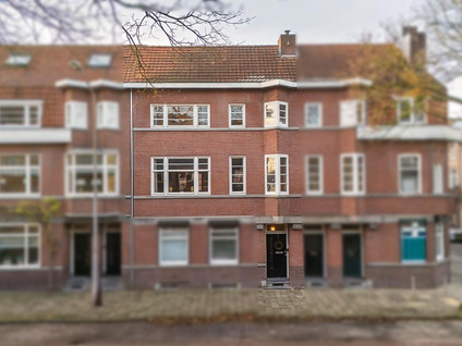 Goltziusstraat 28