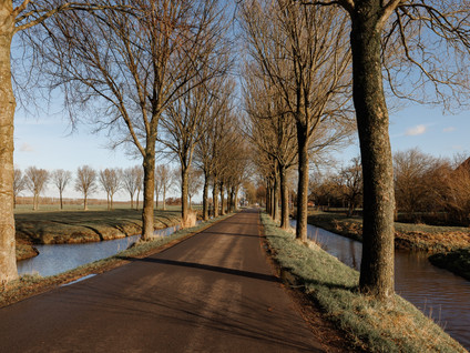 Oosterweg M 8m