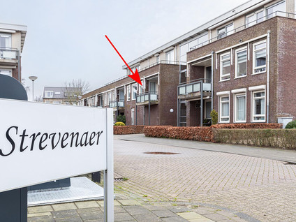 Strevenaer 16