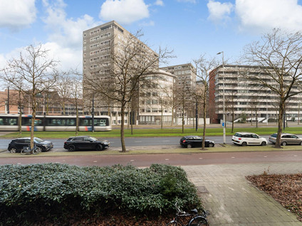 Goudsesingel 604