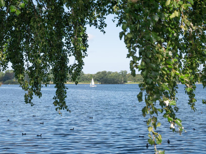 Oostzeedijk Beneden 215B