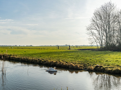 Noordbuurtsehof 50