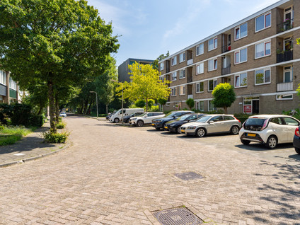 Weverstraat 783