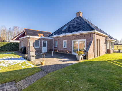 Boerhoorn 5