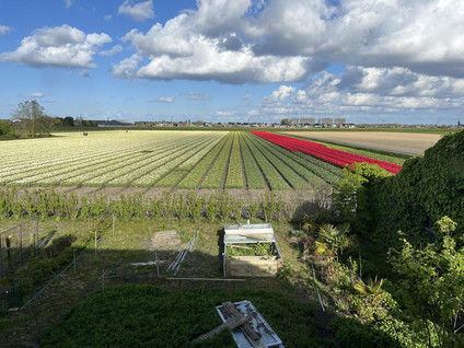 Middenweg 59