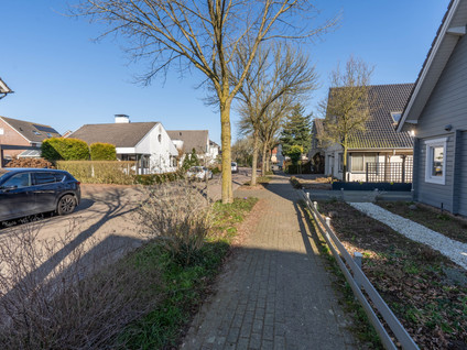 Zilverschoon 8