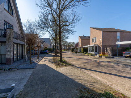 Zilverschoon 8