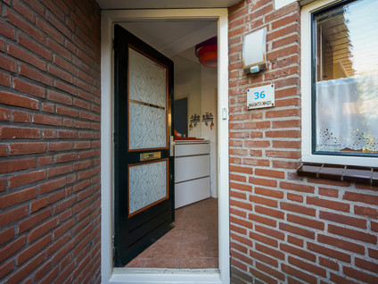 Boomkleverstraat 36