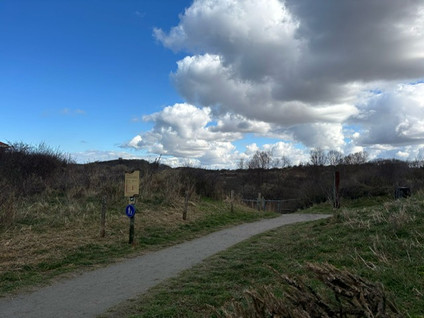 Zwolsestraat/Groningsestraat 