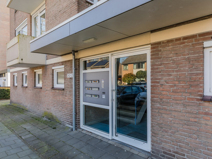 Albert Cuypstraat 252