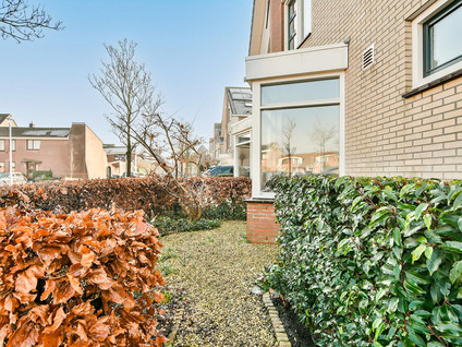 Rosa Spierstraat 181