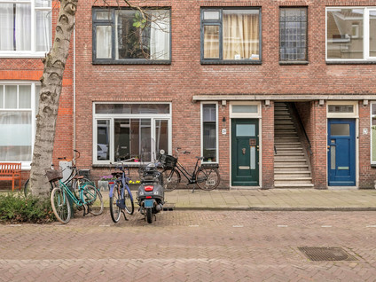 Buijs Ballotstraat 29