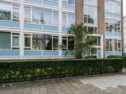 Willem Pijperstraat 262