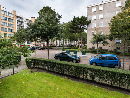 Willem Pijperstraat 262