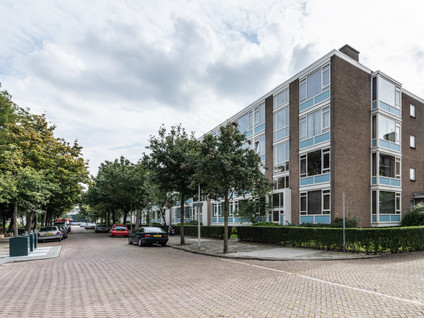 Willem Pijperstraat 262