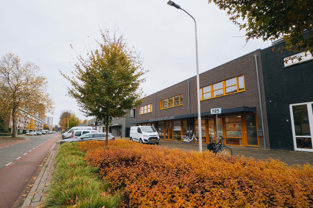 Pisanostraat 55