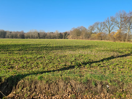 De Vinnen kavel 2 