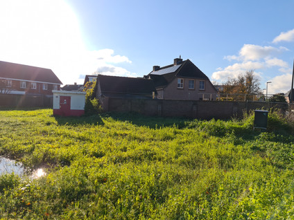 De Wiet 