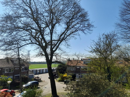 van der Helstpark 75