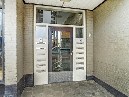 Wilhelminastraat 55