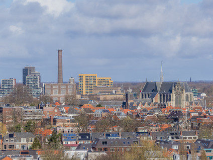 Mangoweg 279