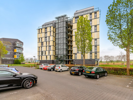 Guadeloupestraat 103