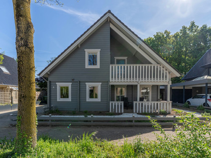 Zilverschoon 8