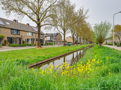 Singel 65