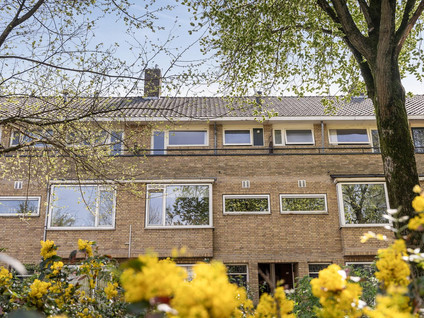 Buys Ballotsingel 29B