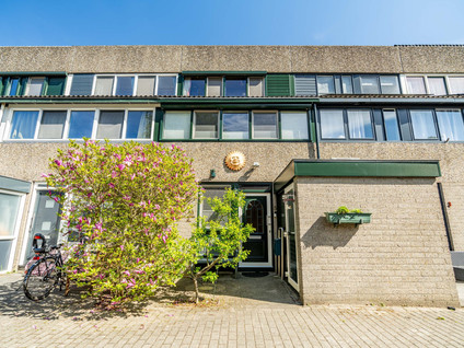 Punterwerf 5
